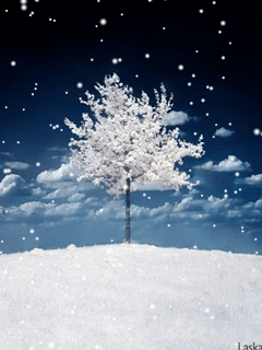 Winter landscapes and scenic wintery moving snow animations