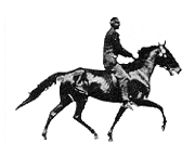 Animated black stallion with rider trotting along