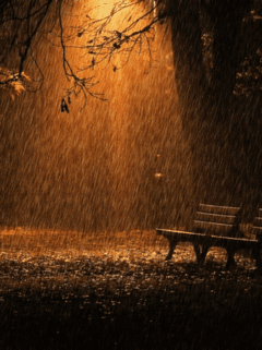 Animated rain at night on the park bench under street light