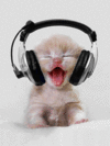 Poor little white kitten with headphones getting it's brains scrambled by a mean owner