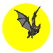 Animated bat flying in front of the moon