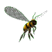 Animated hornet flying back to it's nest