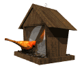 Moving clip art image of a bird eating at a bird feeder
