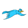 Little blue bird flying animation