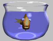Fish in a fishbowl