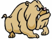 bulldog animation