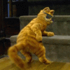 Dancing cat swinging it's tail gif animation image