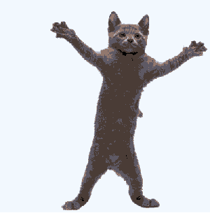 Crazy cat dancing while listening to