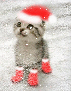 "Puss in Boots"  Animated kitten looking up at falling snow flakes