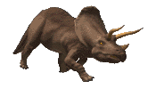 Clip art animation of Triceratops dinosaur walking
