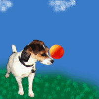 Animated puppy dog bouncing a ball on it's nose
