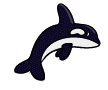 Moving animated cartoon picture of Orca - killer whale swimming
