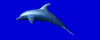 Little moving icon of dolphin swimming in the sea