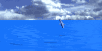 Animated gif of dolphins jumping in the open sea