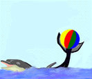 Animated dolphin playing with a beach ball bouncing it from head to tail