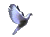 Animated white dove flying