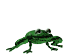 Slow hopping green frog animation