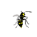 Small animated wasp hovering getting ready to land