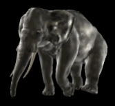 walking elephant animation