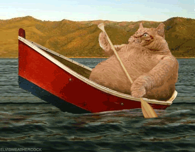 Big lake for a big cat to cross, don't rock the boat! An Elvis Weathercock original animated gif 