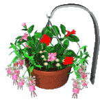 Nice animated basket of flowers swinging on a hook