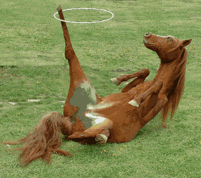 Animation of a horse with a little too much recreation time lying on it's back twirling a hula Hoop on it's hind leg