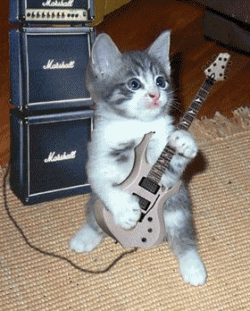 Cute grey and white cat playing electric guitar