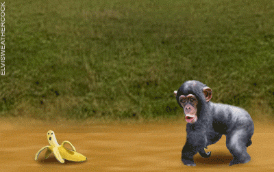 poor banana desperately trying to escape the cute little monkey