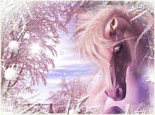horse_winter-Mira-j95.gif
