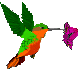 Animated humming bird hovering at a flower