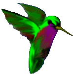 Animated green humming bird flapping wings and hovering in the air