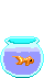 little Fish in a little fishbowl
