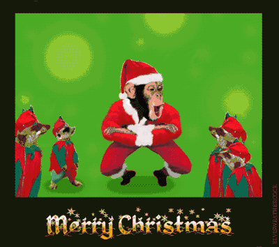 Chimpanzee working off some Christmas Spirits with the meerkat gang at the zoo. Animation of Chimp doing Cossack dance in Santa costume