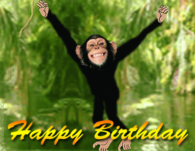 [Image: monkeyswing-birthday-blank%20%281%29.gif]