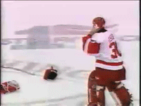 It's a fight on the ice, one player gets mad at another and the gloves come off