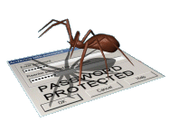 Animated spider "bot" checking the security of your password while dancing to "Always something there to remind me"