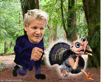  Looks like this turkey wants to stay the hell away from Ramsay's kitchen Seasonal jewel by Elvis Weathercock
