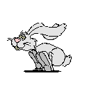 Bunny rabbit hopping animated gif