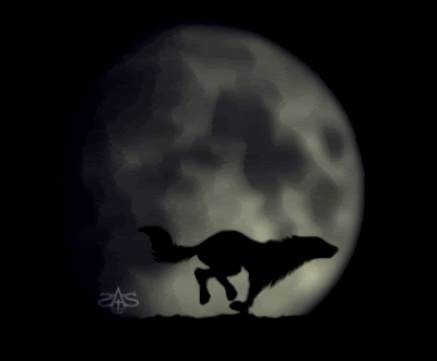 [Bild: solo-wolf-moon-animated-1.gif]