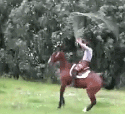 Funny animated gif of Horse and rider jumping in the air skipping rope
