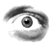 Gif animation of a person's eye looking all around